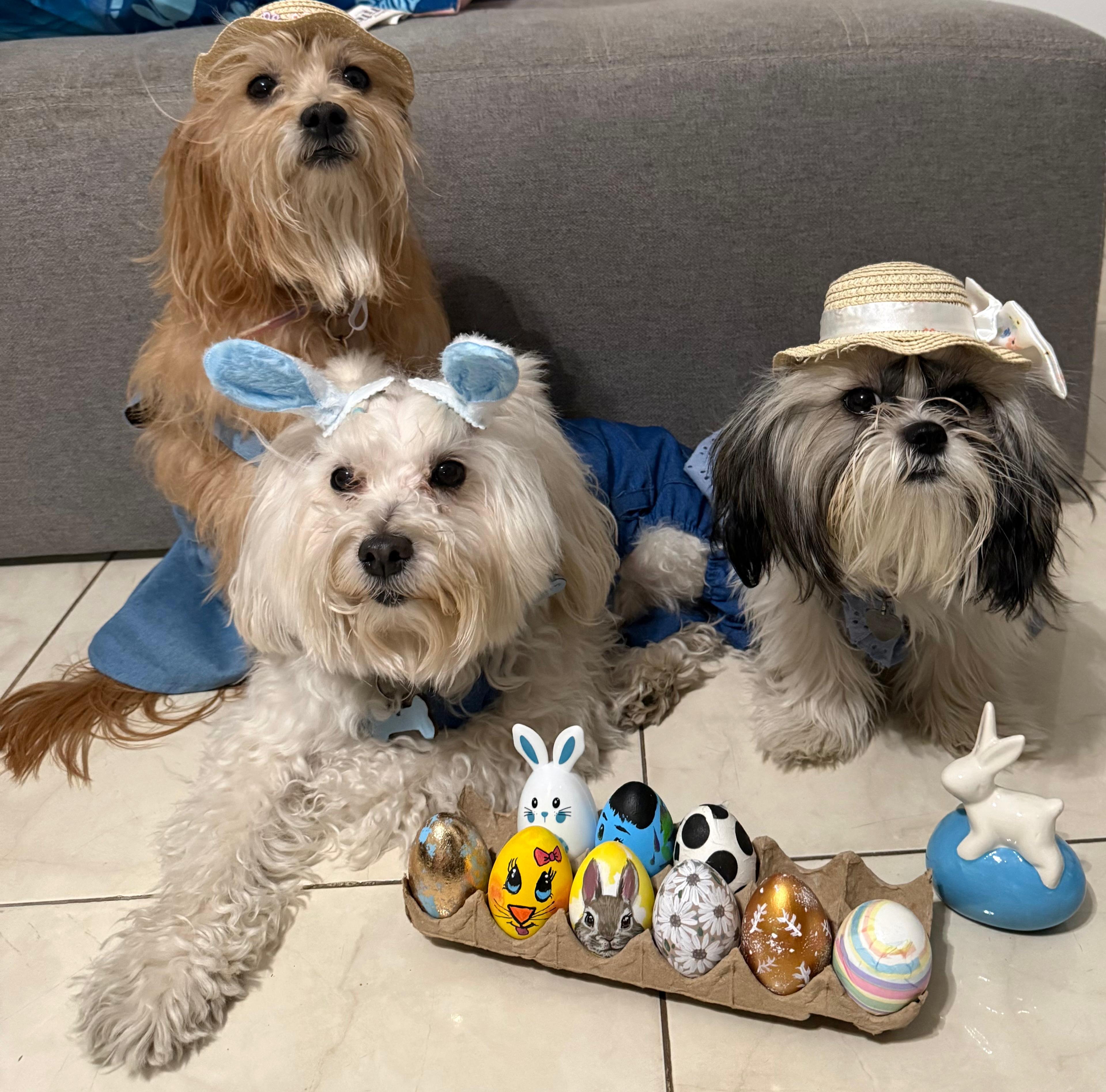 Paulina Ochoa con sus perritos